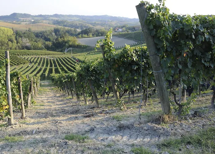 Venkovský dům Ca' Brusa Monforte dʼAlba